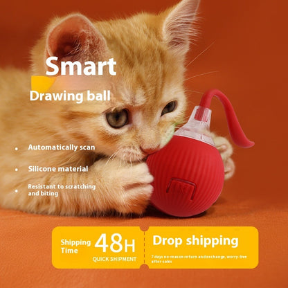 Interactive Cat Toy Ball – Super Drive Rolling Ball for Active Play & Exercise
