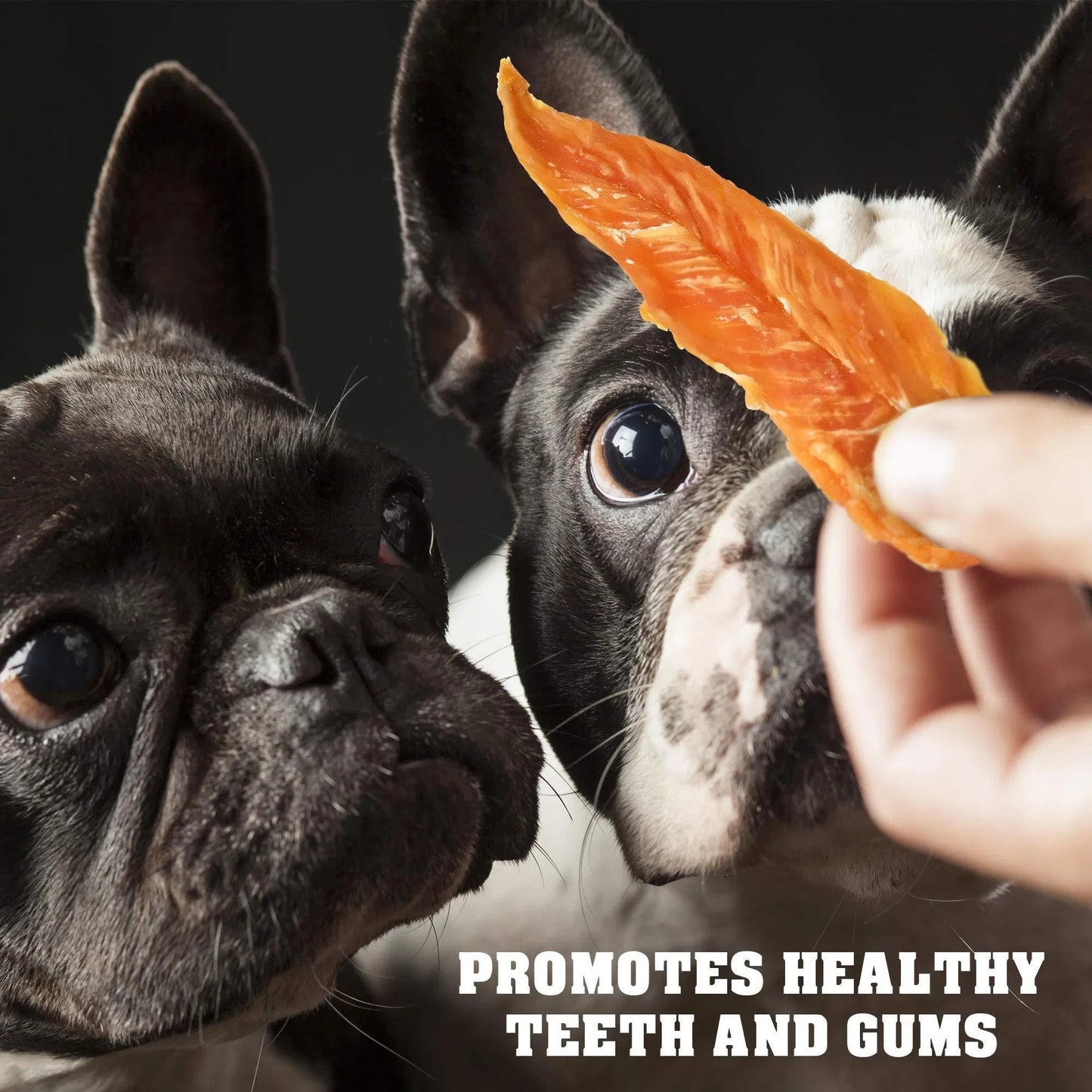 Chicken Jerky Dog Treats – All Natural Grain-Free High Protein Pet Snacks (1.5 lb)