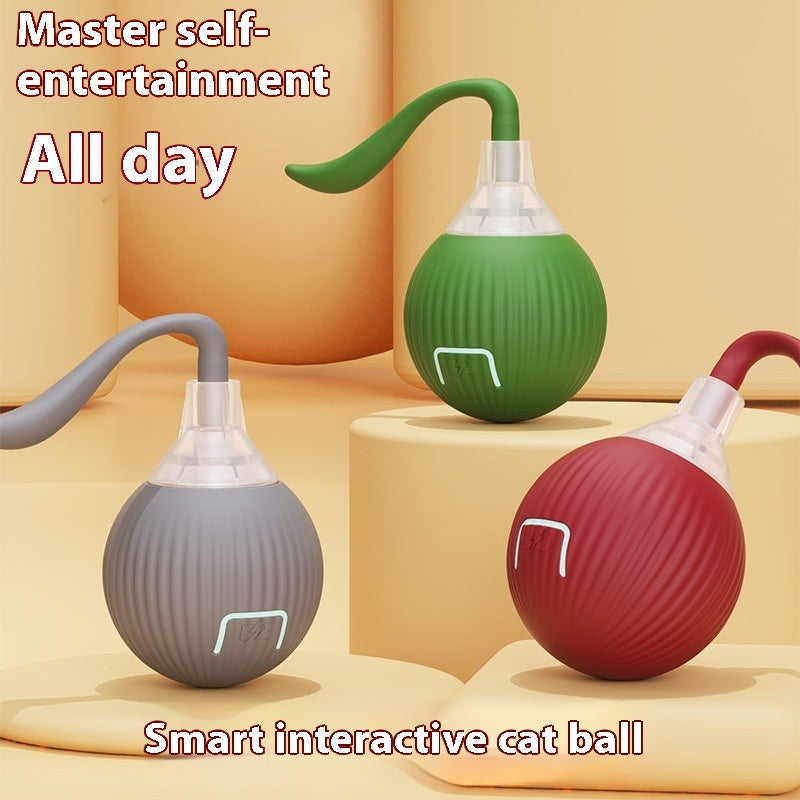 Interactive Cat Toy Ball – Super Drive Rolling Ball for Active Play & Exercise