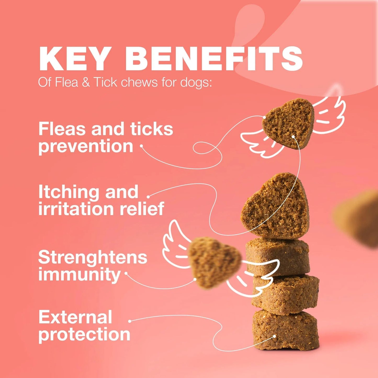 Dog Flea & Tick Chews – Natural Soft Treats for Prevention & Immune Support