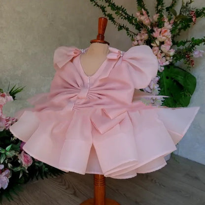Flower Girl Puffy Princess Dress – Baby & Little Girls