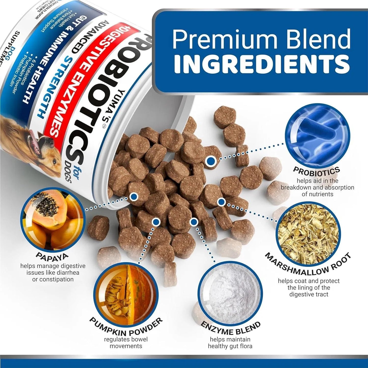 2 Pack Probiotics for Dogs – Digestive Enzymes, Prebiotics & Fiber Chews for Diarrhea, Gas & Constipation Relief, 340 Chews