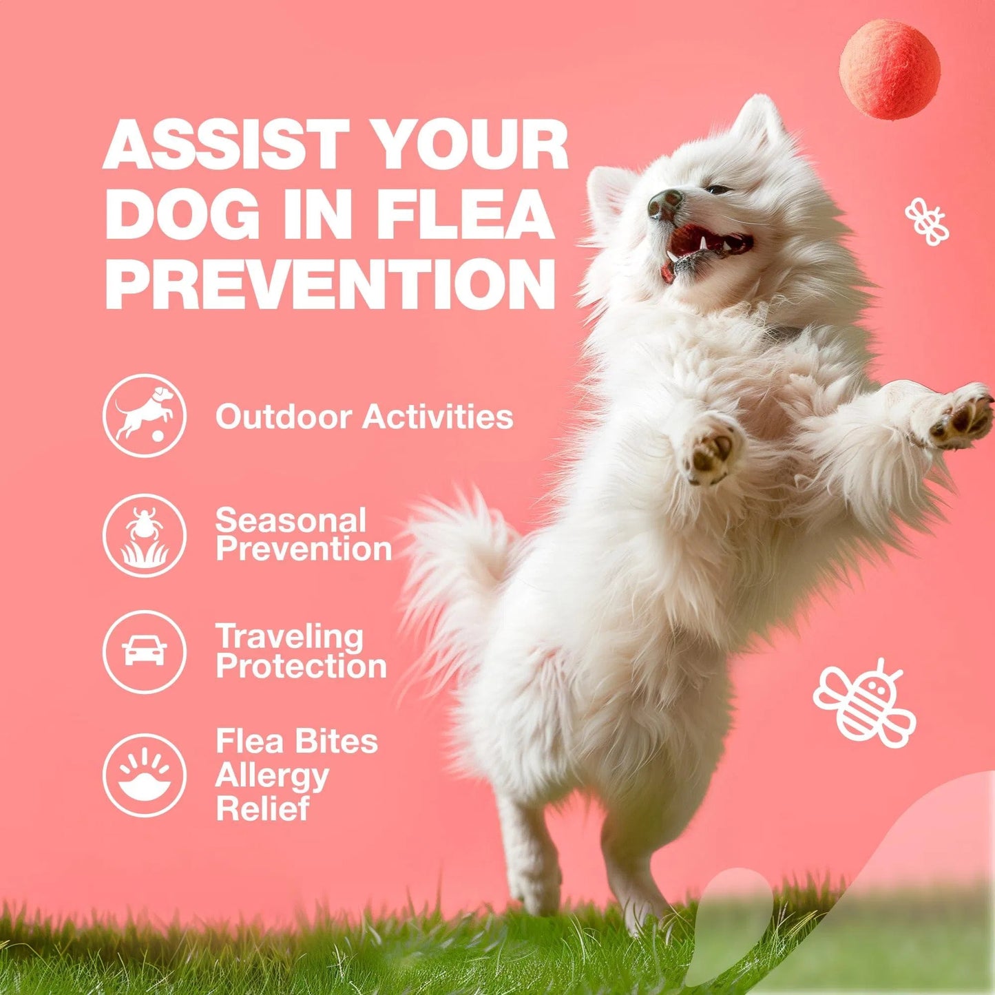 Dog Flea & Tick Chews – Natural Soft Treats for Prevention & Immune Support