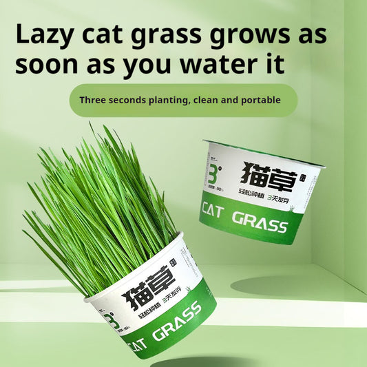 Lazy Cat Grass Cans – Hydroponic Soilless Digestive & Hairball Support Snacks