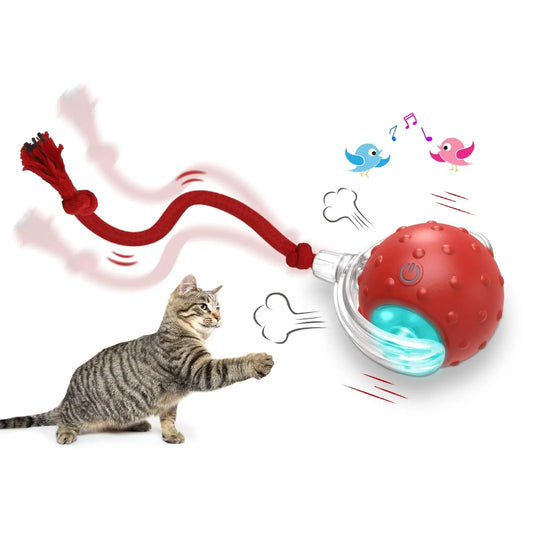 Interactive Cat Toy Ball – Super Drive Rolling Ball for Active Play & Exercise