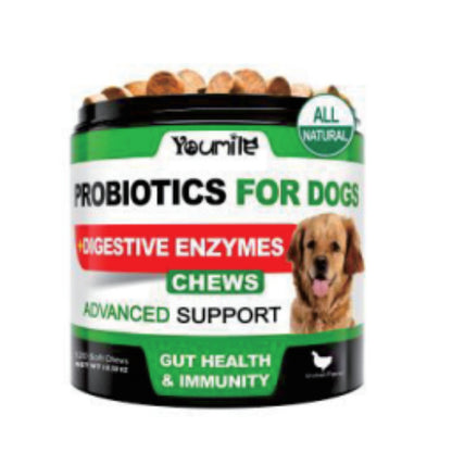 Probiotics Chews for Dogs – Digestive Health & Immune Support Soft Treats
