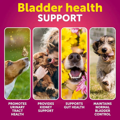 Dog UTI & Bladder Support – Cranberry Supplement for Urinary Tract Health (70 Soft Chews)